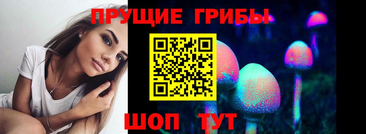 Псилоцибиновые грибы MAGIC MUSHROOMS Егорьевск